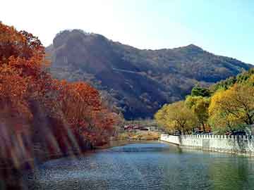 新澳天天开奖资料大全旅游团，广水seo程序